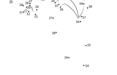 Ariel Little Mermaid Dot To Dot Printable Worksheet Connect The Dots