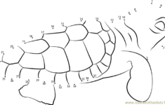Baby Turtle Dot To Dot Printable Worksheet Connect The Dots