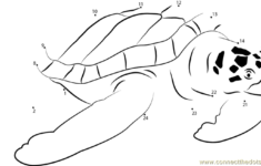 Beautiful Turtle Dot To Dot Printable Worksheet Connect The Dots