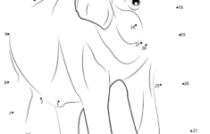 Connect The Dots Animal Worksheets Learning Printable