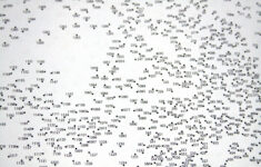 Hard Dot To Dots Coloring Home Difficult Dot To Dot Printable