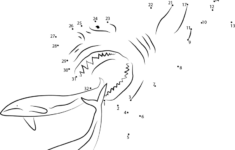Megalodon Shark Dot To Dot Printable Worksheet Connect The Dots
