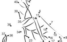 Modern Bug Connect The Dots Worksheet Connect The Dots Dot To Dot