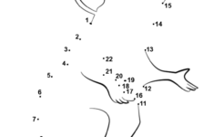 Pin By Turtle Diary On Educational Worksheets For Kids Fun Worksheets