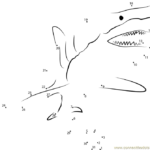 Shark Attack Connect The Dots Worksheet Shark Week Kids Sharks For