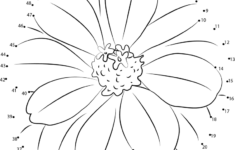 Zinnia Flower Dot To Dot Printable Worksheet Connect The Dots