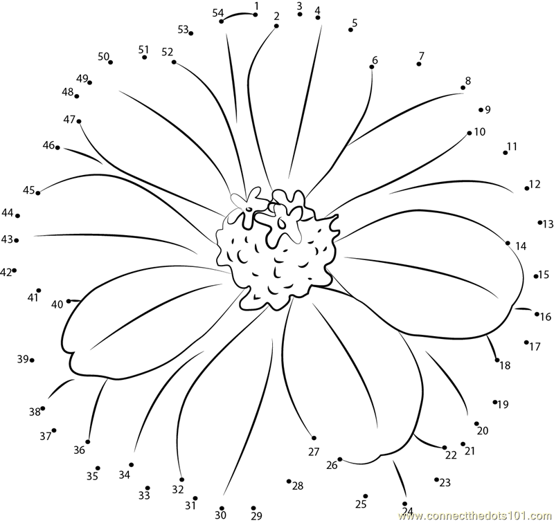 Zinnia Flower Dot To Dot Printable Worksheet Connect The Dots